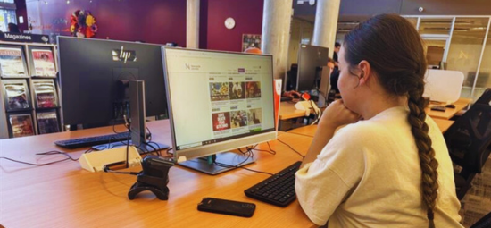 Accessible Public Computers