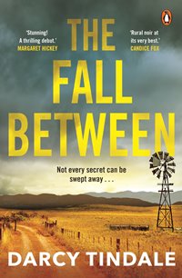 The Fall Between by Darcy Tindale book cover image